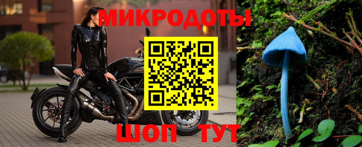 Псилоцибиновые грибы Cubensis Кувандык