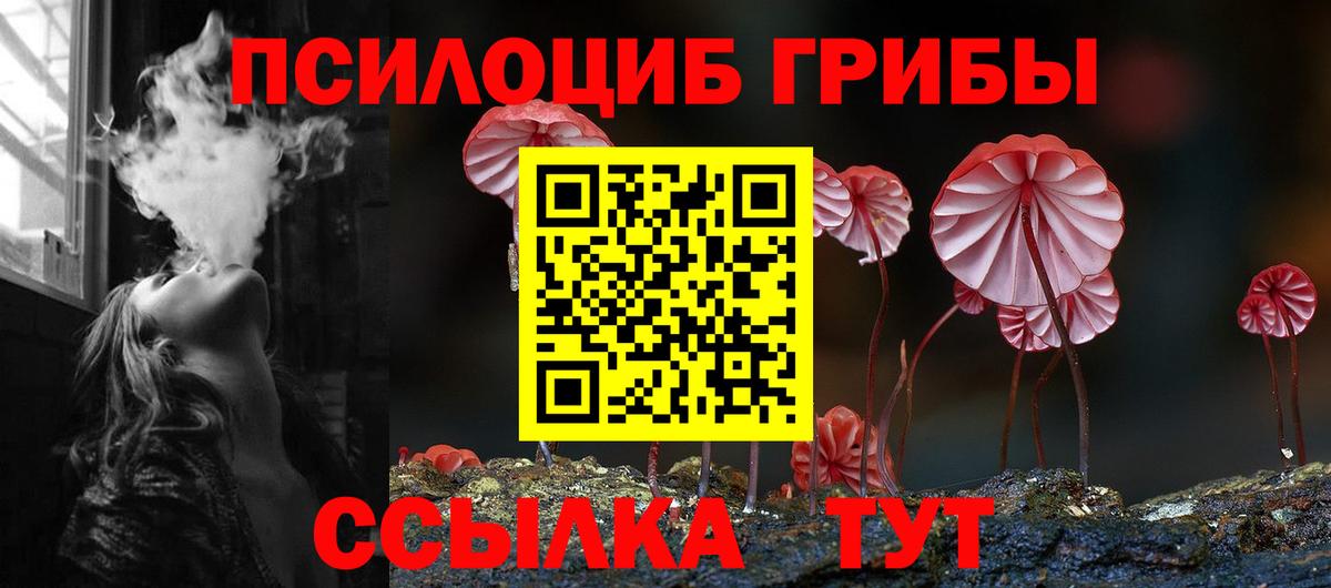 Галлюциногенные грибы мицелий  Галлюциногенные грибы Magic Shrooms  Кувандык  Вход с VPN 
